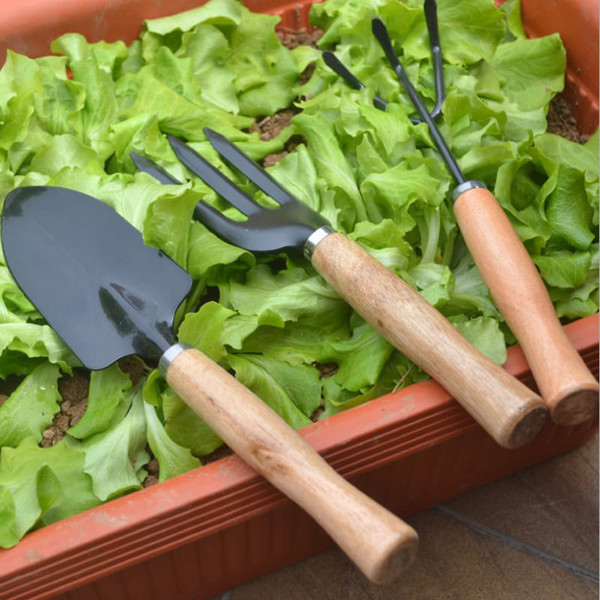 3Pcs Garden Hand Tools Set Iron Gardening Shovel Spade Rake Trowel Wood Handle C122-1124857