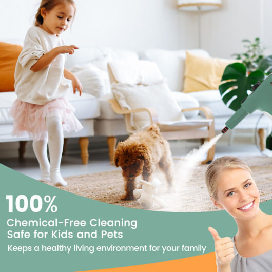 1400W Handheld Steam Cleaner with 14-Piece Accessory Kit and Child Lock-Green - Color: Green D681-ES10287US-LS