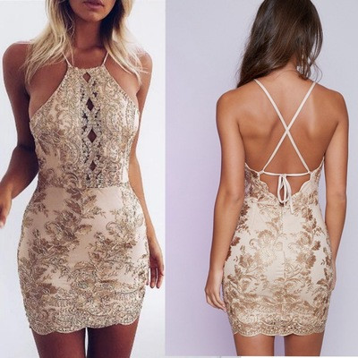 Cross border Women's Sexy Halter Dress Embroidery Lace Explosion Q119-CJNSSYLY00051