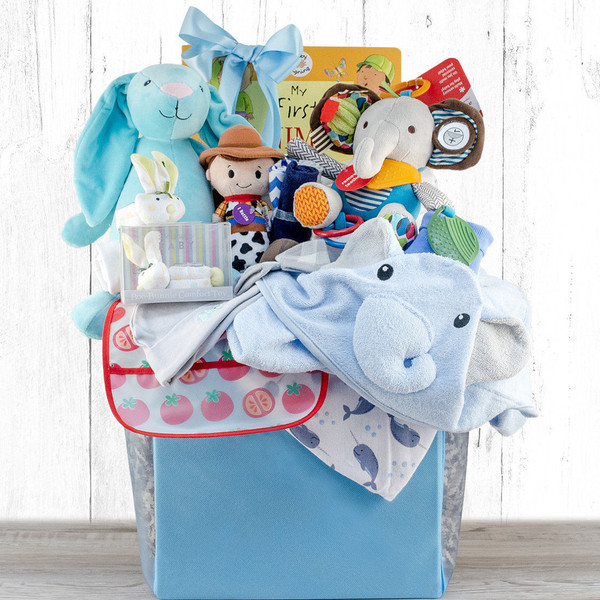 Congratulations: Baby Boy Gift Basket Z954-CPB-326