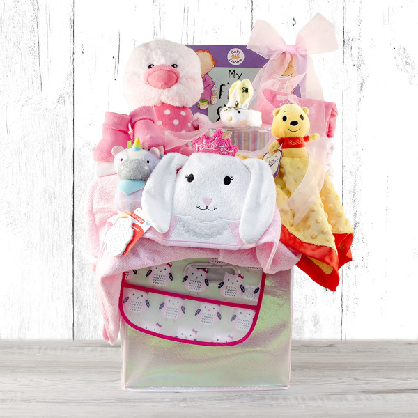 Cherished Moments: Baby Girl Gift Basket Z954-CPB-195
