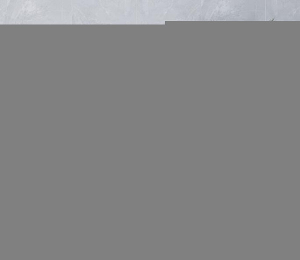 3' X 5' Grey Charcoal Ivory Tan Brown And Beige Geometric Power Loom Stain Resistant Area Rug N270-508481
