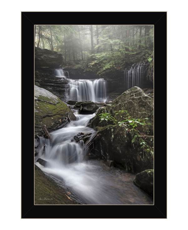 Ricketts Waterfall Black Framed Print Wall Art N270-530009