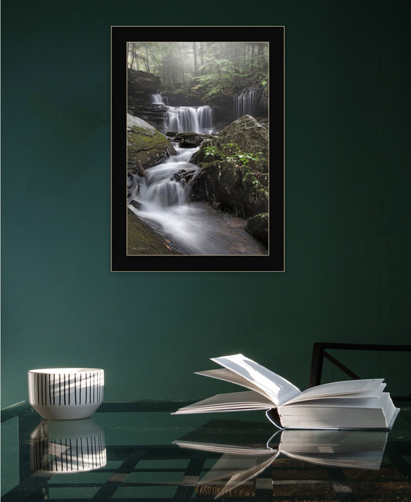 Ricketts Waterfall Black Framed Print Wall Art N270-530009