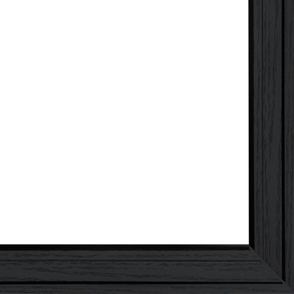 Set Of Two Vintage Chalkboard Blooms Black Framed Print Wall Art N270-407974