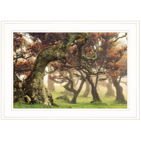 Fanal White Framed Print Wall Art N270-405495