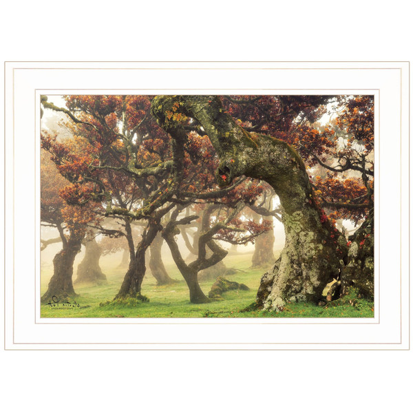 Fanal White Framed Print Wall Art N270-405495