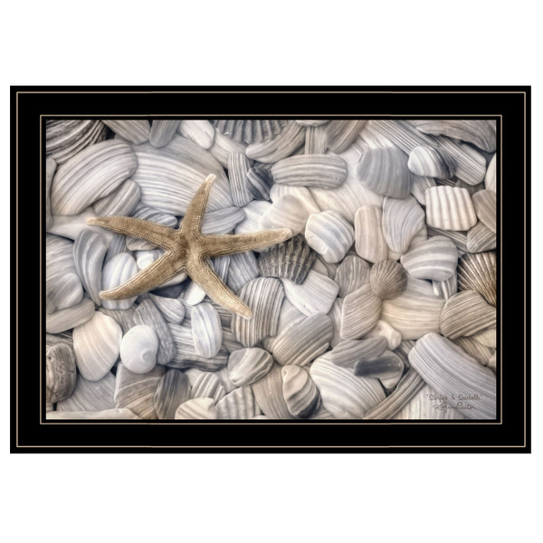 Starfish and Seashells 4 Black Framed Print Wall Art N270-406929