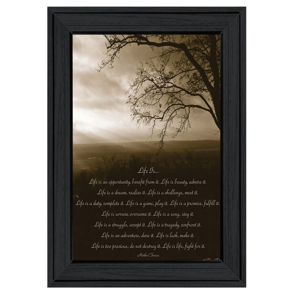 Life is 3 Black Framed Print Wall Art N270-406475