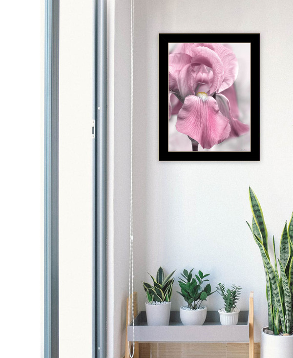 Pink Iris Black Framed Print Wall Art N270-530021