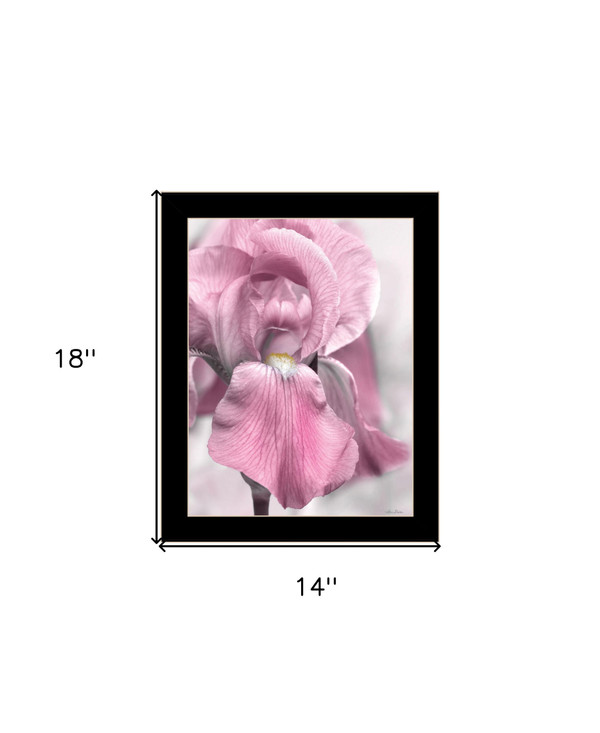 Pink Iris Black Framed Print Wall Art N270-530021