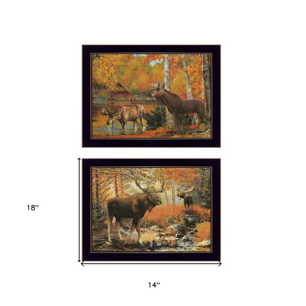 Set Of Two Call of the Wild 2 Black Framed Print Wall Art N270-407195