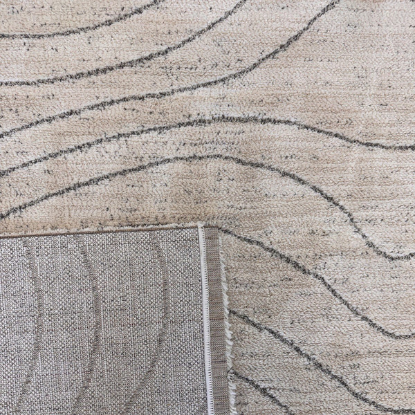 4' X 6' Cream and Beige Abstract Area Rug N270-570063