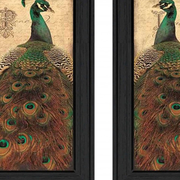 Set Of Two Peacock 2 Black Framed Print Wall Art N270-405687