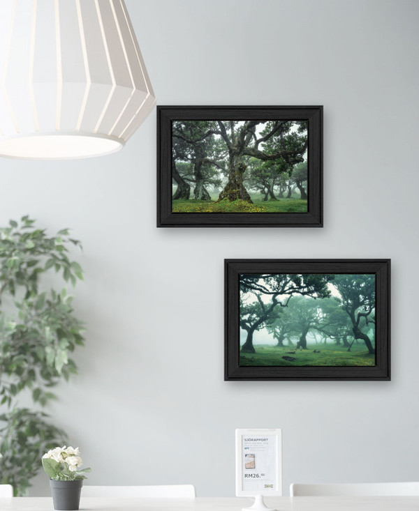 Set Of Two Enchanted Forest 2 Black Framed Print Wall Art N270-408032