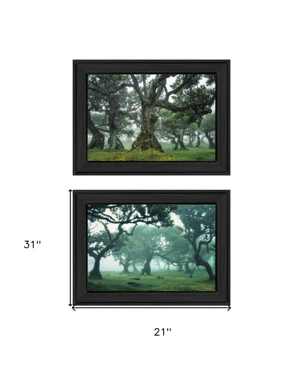 Set Of Two Enchanted Forest 2 Black Framed Print Wall Art N270-408032