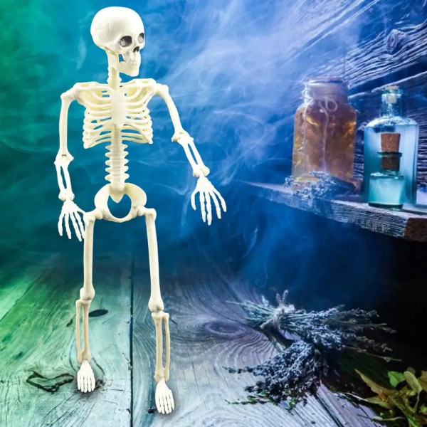 Color: WHITE, Ships From: spain - 16 Inches Simulation Halloween Human Skeleton Ghost Festival Mova F640-12000023778635556