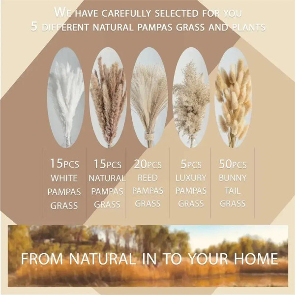 Color: green - 105pcs Natural Dried Flowers Pampas Floral Bouquet Boho Country Home Decoration Rabb F640-12000036340401382