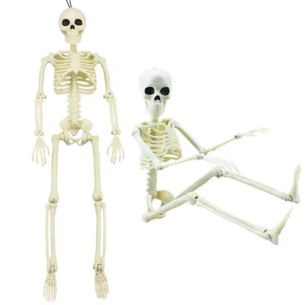 Color: WHITE, Ships From: United States - 16 Inches Simulation Halloween Human Skeleton Ghost Festi F640-12000023778635557