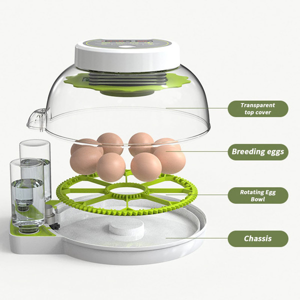 Egg Incubators with Automatic Temperature and Humidity Control, 360° Clear Egg Candler Egg Flipper  K484-FQZIN_DUW0GY12