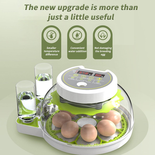 Egg Incubators with Automatic Temperature and Humidity Control, 360° Clear Egg Candler Egg Flipper  K484-FQZIN_DUW0GY12