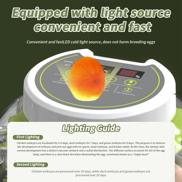 Egg Incubators with Automatic Temperature and Humidity Control, 360° Clear Egg Candler Egg Flipper  K484-FQZIN_DUW0GY12