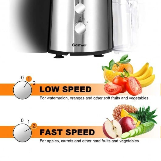 2 Speed Electric Juice Press for Fruit and Vegetable B593-EP23782
