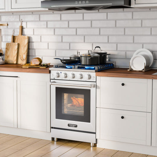 24 Inches Freestanding Natural Gas Range with 4 Burners Cooktop - Color: Silver D681-FP10540