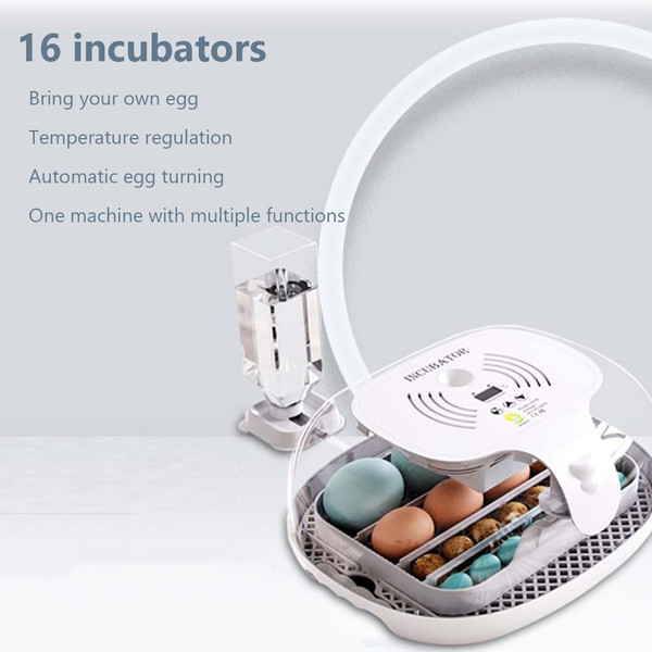 16 Egg Incubator with Automatic Egg Turning, Chicken Egg Incubator with Temperature Control and Aut K484-FQZIN_W4ADCHAZ