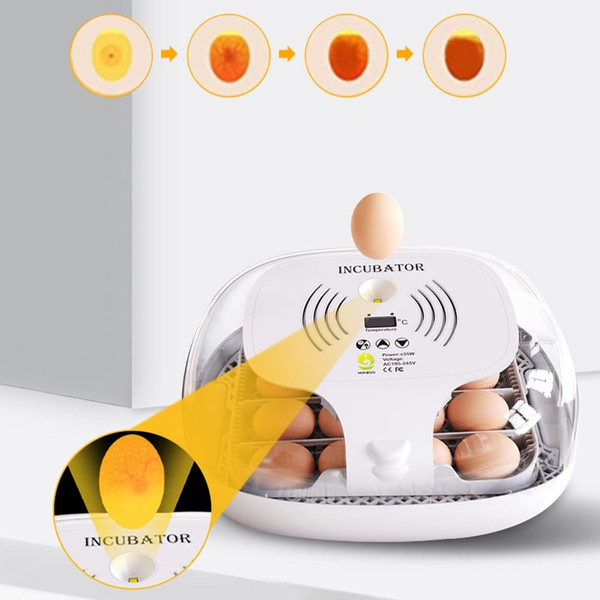 16 Egg Incubator with Automatic Egg Turning, Chicken Egg Incubator with Temperature Control and Aut K484-FQZIN_W4ADCHAZ