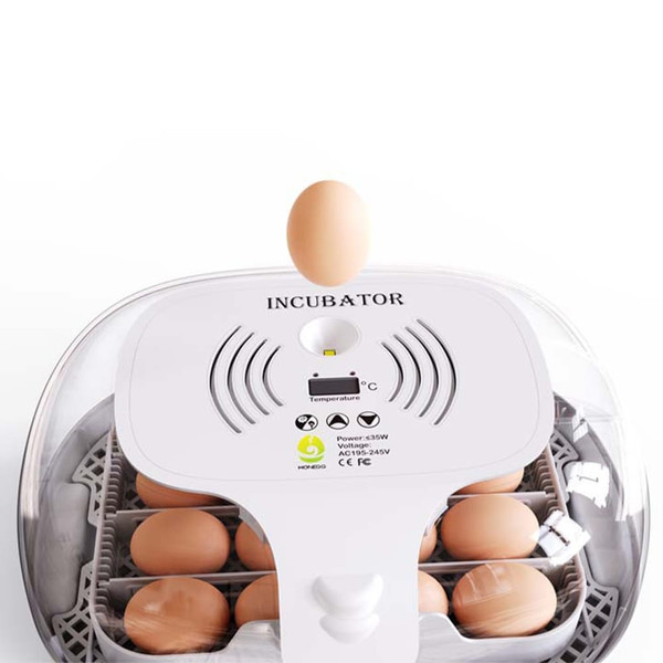 16 Egg Incubator with Automatic Egg Turning, Chicken Egg Incubator with Temperature Control and Aut K484-FQZIN_W4ADCHAZ