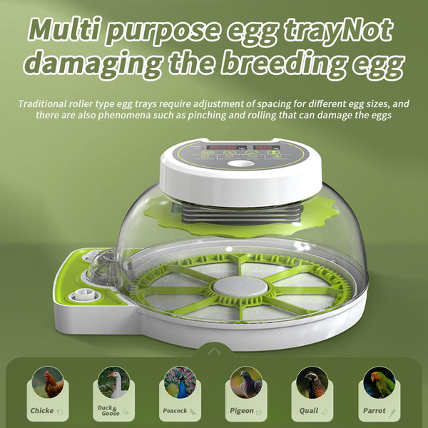 Egg Incubators with Automatic Temperature and Humidity Control, 360° Clear Egg Candler Egg Flipper  K484-FQZIN_DUW0GFH4