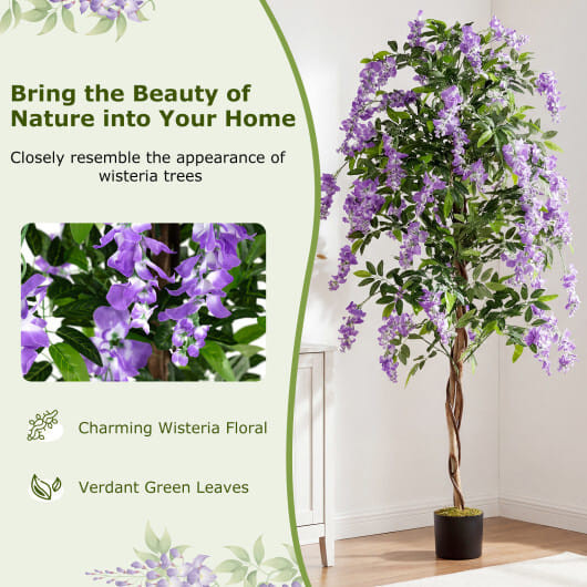 Set of 2 Fake Ficus Plant 6 FT Artificial Wisteria Tree with Natural Trunks and Purple Lifelike Flo D681-HZ10279PU-2