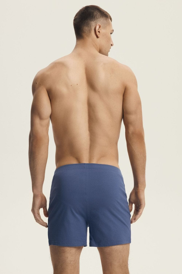 blue - Boxers model 220968 Henderson U704-220968