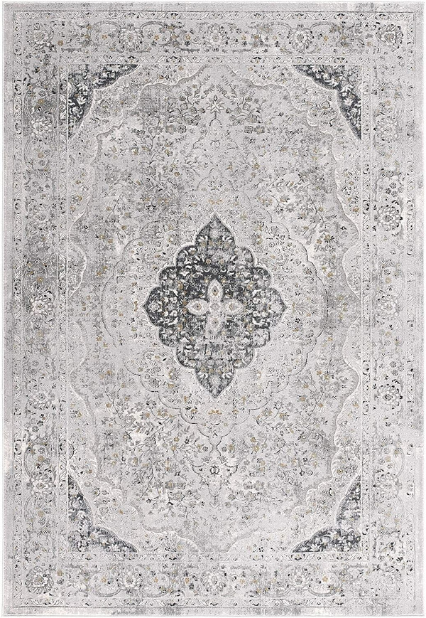 4' X 6' Grey Oriental Area Rug N270-391791