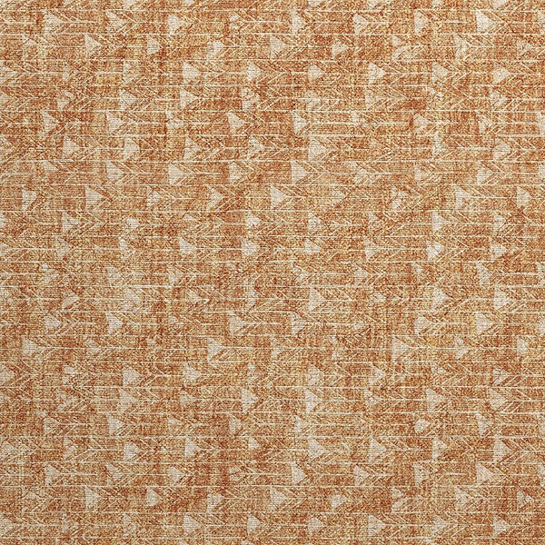 2' X 3' Salmon Geometric Washable Non Skid Indoor Outdoor Area Rug N270-560121