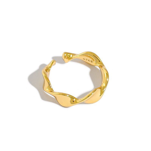Simple Mobius Twist 925 Sterling Silver Adjustable Ring R866-HFH_624073939177
