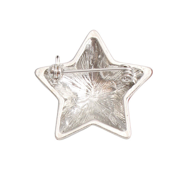 American Flag Star Brooch T226-9485663338815