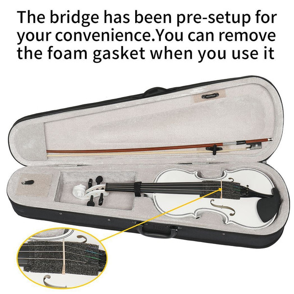 ?Do Not Sell on AmazonFull Size 4/4 Violin Set for Adults Beginners Students with Hard Case,Violin  T575-S0671281119