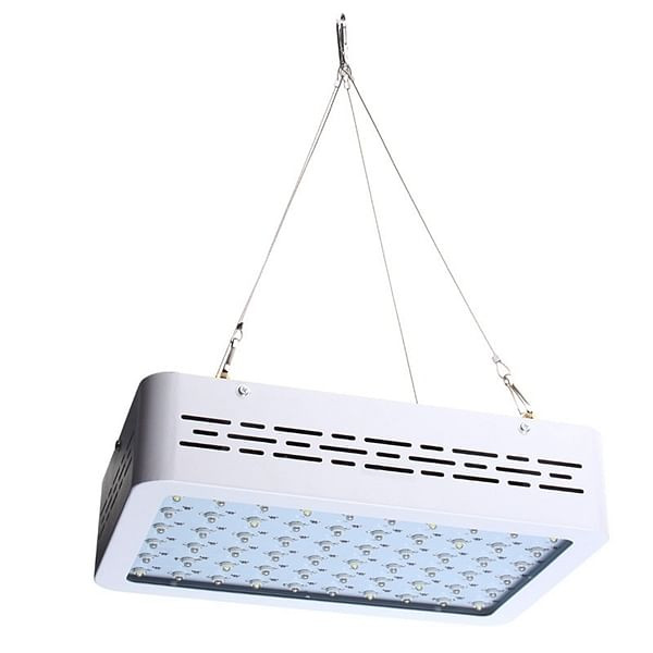 50W Full Spectrum LED Grow Light Hydroponic Indoor Veg Bloom Plant Lamp C122-1236616
