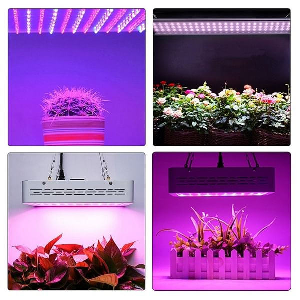 50W Full Spectrum LED Grow Light Hydroponic Indoor Veg Bloom Plant Lamp C122-1236616