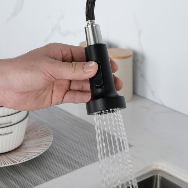 Kitchen Faucets Commercial Solid Brass Single Handle Single Lever Pull Down Sprayer SpringKitchen S T575-S0671297020