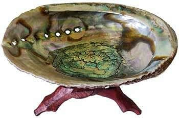 5"- 6" Abalone Shell incense burner with stand H558-IBABAS