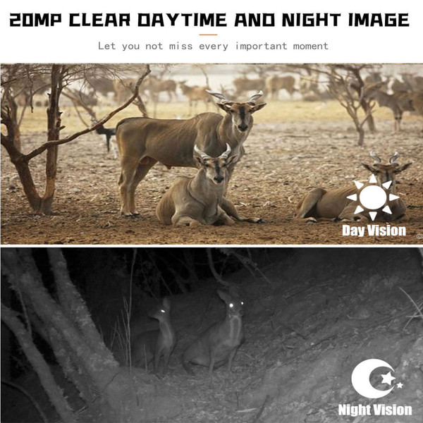 US 16mp 1080p HD Infrared Camera with Screen Outdoor 34 LED Lights Pr700 Wildlife Cam Camouflage K484-FQZCO_1HY3QVW3_US