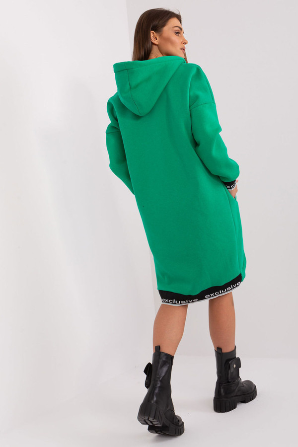 green - Sweatshirt model 185938 Relevance U704-185938