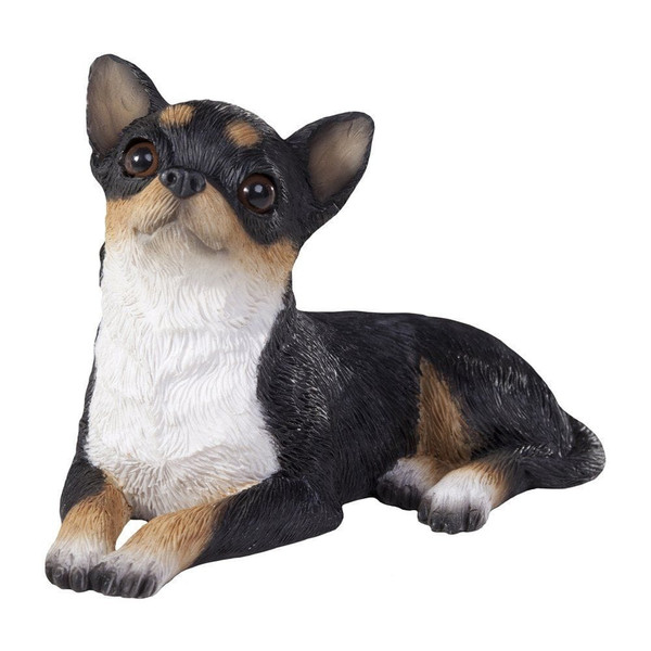 Chihuahua TRI small size N274-DE01SS02804