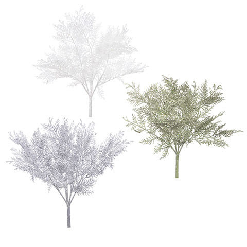 Cedar Bush 22 X 22 Inches 3 Assorted Styles N274-FC01570482