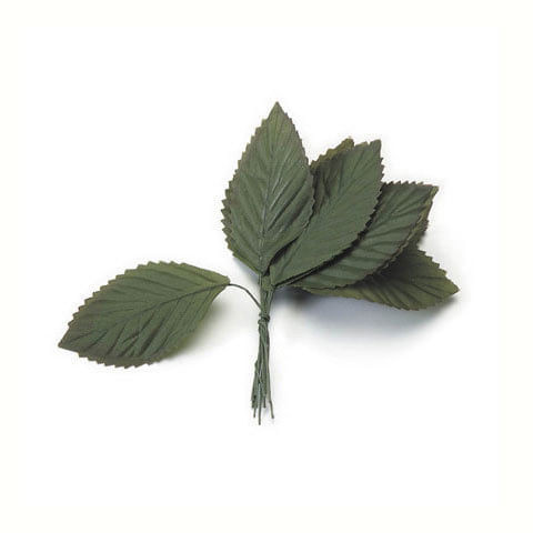 Large Rose Leaf Green 1 1 2 X 3 Inches N274-FC01014109
