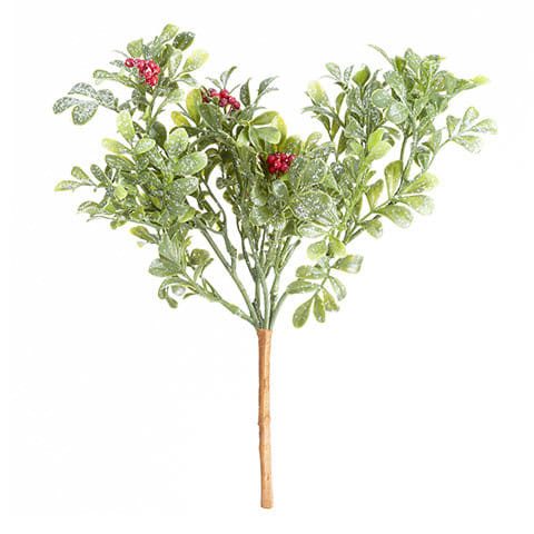 Boxwood Berry Pick Green 10.5 X 13 Inches N274-FC01570628