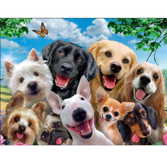 Size: 20X25cm - 5D Diamantmaleri Dum Hund Q119-CJJJYSZS01102-20X25cm